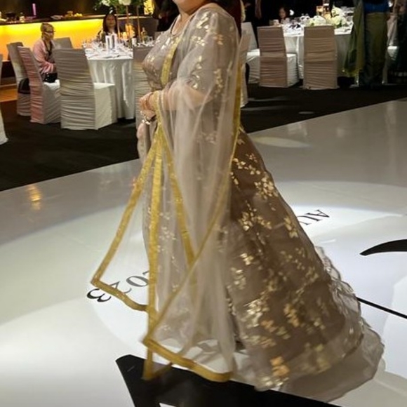 Cbazaar grey organza lehenga with gold accents, sheer dupatta, size 16-18, XL-2X - Picture 6 of 6